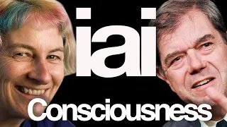 Consciousness | Susan Blackmore, Tim Crane, Bernardo Kastrup, Annaka Harris & Philip Goff