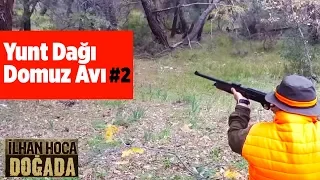 Yunt Dağı Domz Avı 2.Bölüm ilhan Hoca Doğada Yaban Tv