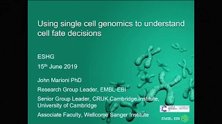 E01.1 Using single cell genomics to understand cell fate decisions