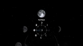 Moon Phases : Why does The Moon change its Shape #shorts #space #moon #moonphases #animation