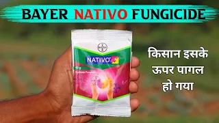 Nativo fungicide use in hindi || Nativo Bayer || बायर का नेटिवो फंगीसाइड