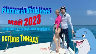 На Мальдивы с Викторией //Plumeria Maldives// Тинаду Бич май 2023 (Часть 2)