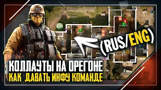 Как давать Коллауты команде | Орегон | Rainbow Six Siege