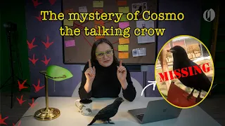 The Mystery of Cosmo the Talking Crow  (FULL - Parts 1 - 12)