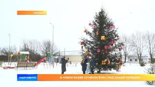 В Новом Баеве срубили ёлку, под самый корешок