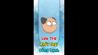 Lưu Trữ Phôi Thai Đông Lạnh (Full) | Anh Đầu Hói
