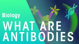 What are Antibodies | Health | Biology | FuseSchool