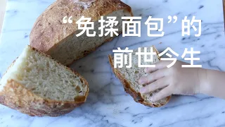 经典“免揉面包”（酵母粉版） No-Knead Bread The New York Times Recipe