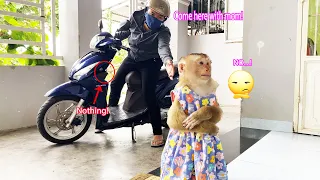 Mean monkey Lyly cried, angry at her mother for not buying her fruit