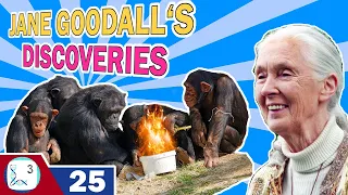 What are Jane Goodall’s Discoveries?