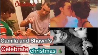 Camila and Shawn are celebrating christmas with Shawn’s family 🎄❤️ Their instagram story #shawmila