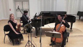 Franz Schubert: Piano trio Es dur, op. 100, PRESSBURGER PIANO TRIO