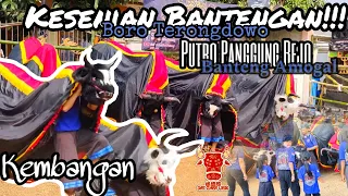 KESENIAN BANTENGAN!! MALANGAN, PUTRO PANGGUNG REJO, BORO TERONGDOWO (KEMBANGAN PART 1)