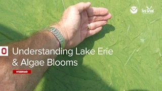 Webinar: Understanding Lake Erie & Algae Blooms