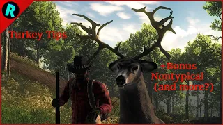 Turkey Tips + Bonus Non Typical (And More?) | theHunter Classic