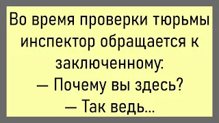 🤡Жена Ворчит На Пьяного Мужа...Большой Сборник Смешных Анекдотов,Для Супер Настроения!