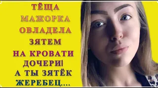 Тёща и зять: Жена за дверь а теща на зятя / удивительные истории из жизни