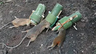 Wild Man: Creative Amazing Bamboo Rat/Mouse Traps, Catch Rats and Squirrel in the Forest