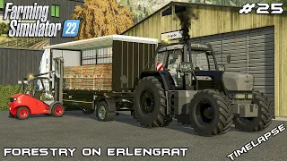 Building WEARHOUSE to store PALLETS | Forestry on ERLENGRAT | Farming Simulator 22 | Episode 25
