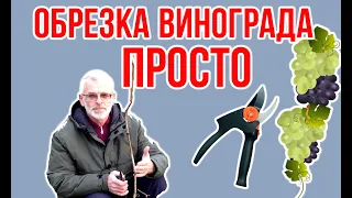 Как обрезать ВИНОГРАД / Простая обрезка / Игорь Билевич