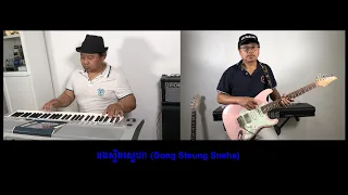 ដងស្ទឹងស្នេហា (Dong Steung Sneha)  - Khmer instrumental music