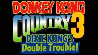 Pokey Pipes - Donkey Kong Country 3: Dixie Kong's Double Trouble! OST Extended
