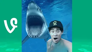 Zach King Vine and Tik Tok Compilation 2020 - Best Magic Vines !!! (Part 28)