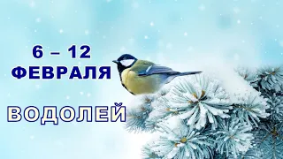 ♒ ВОДОЛЕЙ. ❄️ С 6 по 12 ФЕВРАЛЯ 2023 г. ✨️ Таро-прогноз 💫