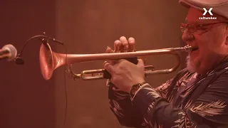 Avishai Cohen - Avisale A MI Vecina (from the album "Iroko", Live at Nuits de Fourvière - 2023)