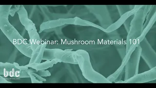BioDesign Challenge: Mushroom Materials 101