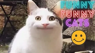 2 HOUR BEST FUNNY CATS COMPILATION 2023 😂| The Best Funny And Cute Cat Videos 16  !😸 😸