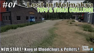 NEW START ! King of Woodchips & Pellets !🌳 | #01 TOFU & VEGAN in HOLMAKRA | FS22 PS5/HD