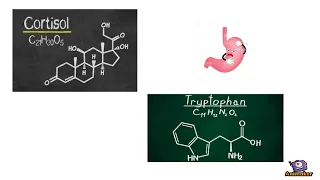 nanoparticulas e aptameros 2