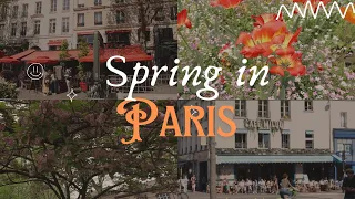 Spring in Paris.