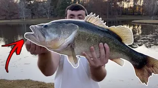 I CAUGHT MY BIGGEST BASS OF 2021! (ABSOLUTE GIANT)