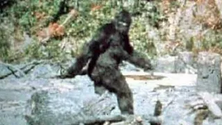 Original BIGFOOT Footage | 1967 Patterson-Gimlin Documentary