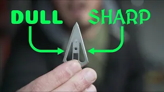 Live life on "THE EDGE" | SHARPEN every blade in your house! | Lanksy Sharpening System