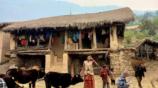 Simple The Best peaceful Himalayan Village Life|| Daily activities of people Nepali village lifestyl