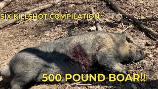 6 Hogs Down In Under 2 Minutes!! Compilation From High Adventure Ranch