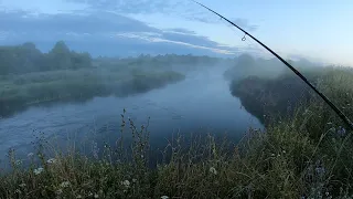 РАЗНОРЫБИЦА НА Реке!!! Или КАКУЮ рыбу можно поймать летом на перекате!!!