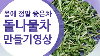 돌나물차&돈나물차만들기/몸에엄청좋은차/항암작용/간해독/여성피부미용/혈액순환등 효능