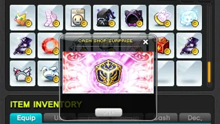 GMS Reboot - Anniversary Surprise Style Box Opening (Part 2) - MapleStory