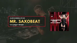 Alexandra Stan - Mr. Saxobeat (Calumny Remix) [TECH HOUSE]