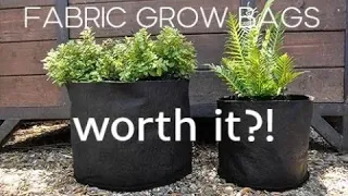 Fabric Pots & Grow Bags: My Thoughts