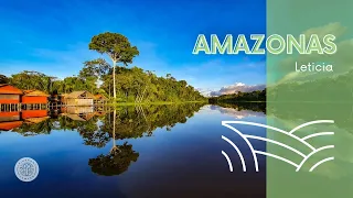 Explorando el Amazonas: el bosque húmedo más grande y biodiverso del mundo  desde Leticia - Colombia