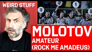 Molotov - Amateur (Rock Me Amadeus) singer reaction