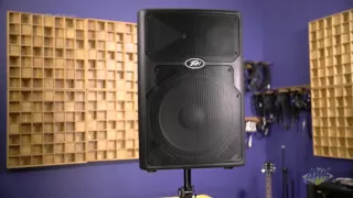 Peavey PVX15 2-Way PA Speaker - Peavey PVX15