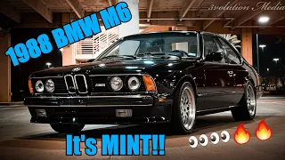 IT'S A 1988 BMW M6 AND ITS IN PRISTINE CONDITION!! (Mobile Detail)
