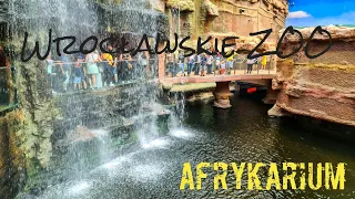 ZOO we Wrocławiu 2023 4K - afrykarium, oceanarium i cała reszta / pokaz MNÓSTWA ZWIERZĄT