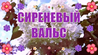 🌸 Сиреневый Вальс! 🌸 Красивая Музыкальная Открытка! 🌸